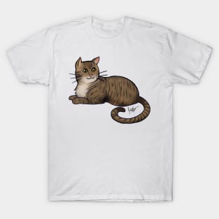 Cat - American Shorthair - Brown Tabby T-Shirt